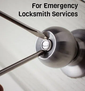 logo-image - banner-01